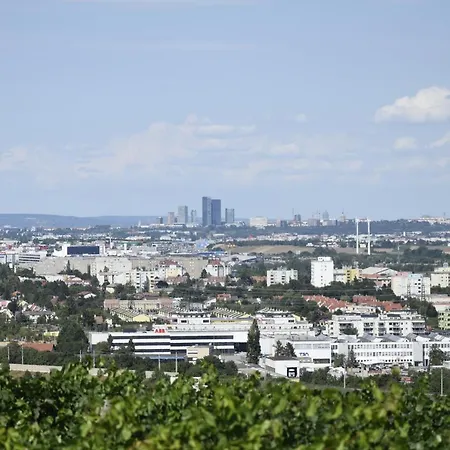 Daire 100qm Comfort, Family-friendly And Located Guntramsdorf