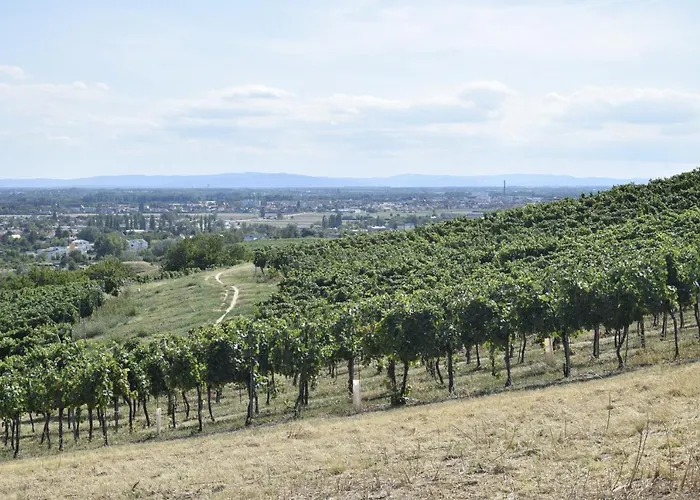 100qm Comfort, Family-friendly And Located * Guntramsdorf